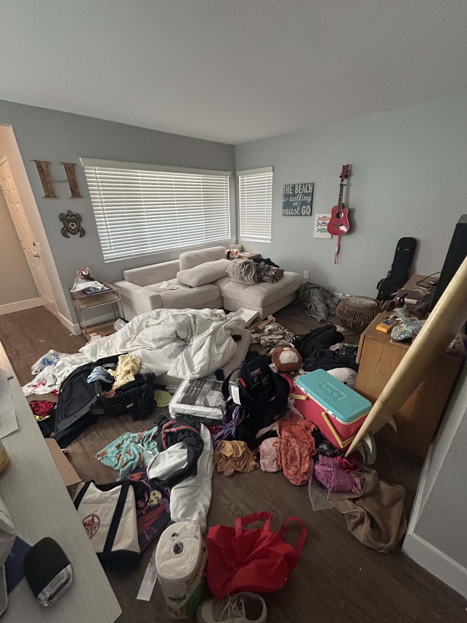 Living Room Before Organization