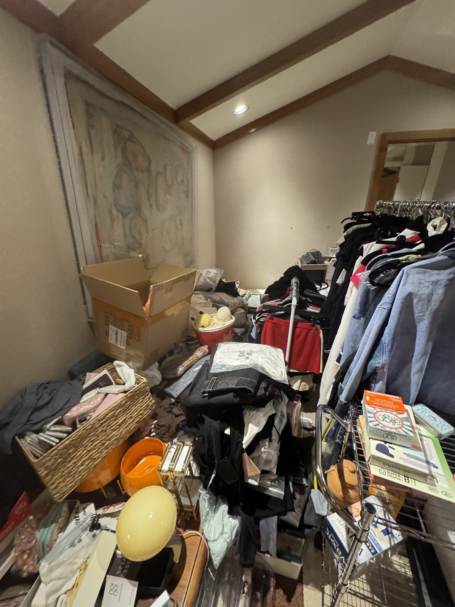 Before Home Organization